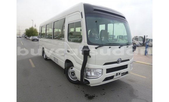 Buy Import Toyota Coaster White Car in Import - Dubai in Al Jazirah State Buy Import Toyota Coaster White Car in Import - Dubai in Al Jazirah State