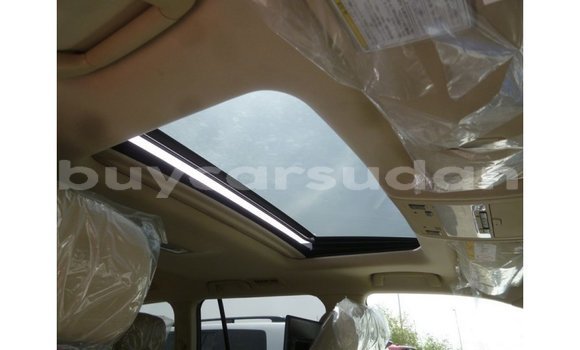 Buy Import Toyota Land Cruiser Black Car in Import - Dubai in Al Jazirah State Buy Import Toyota Land Cruiser Black Car in Import - Dubai in Al Jazirah State