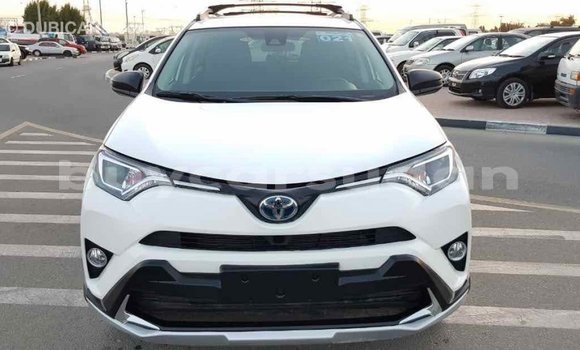 Buy Import Toyota RAV4 White Car in Import - Dubai in Al Jazirah State Buy Import Toyota RAV4 White Car in Import - Dubai in Al Jazirah State