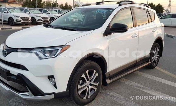 Buy Import Toyota RAV4 White Car in Import - Dubai in Al Jazirah State Buy Import Toyota RAV4 White Car in Import - Dubai in Al Jazirah State