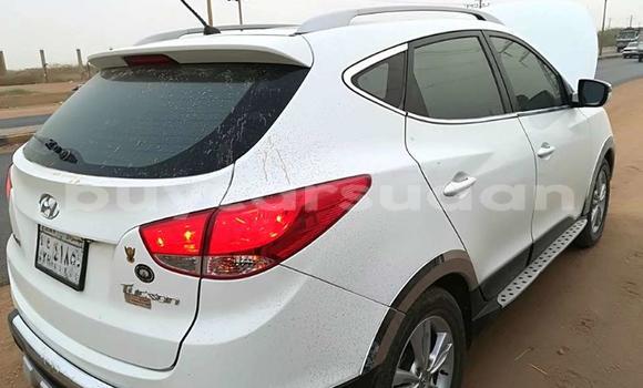Buy Used Hyundai Tucson White Car in Khartoum in Khartoum