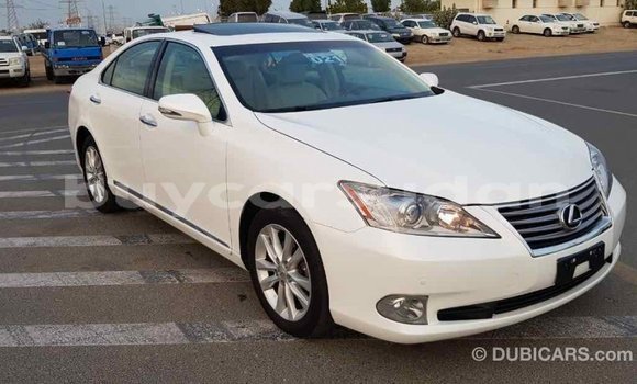 Buy Import Lexus ES White Car in Import - Dubai in Al Jazirah State Buy Import Lexus ES White Car in Import - Dubai in Al Jazirah State