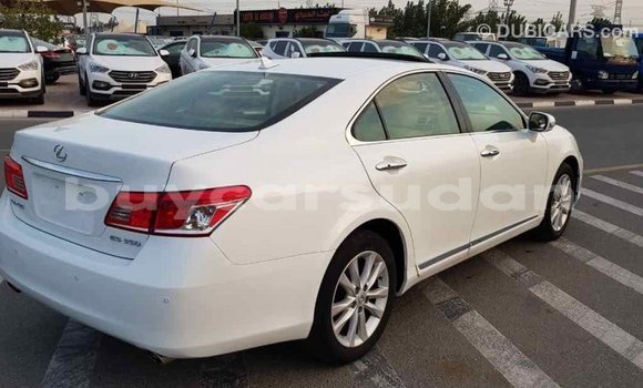 Buy Import Lexus ES White Car in Import - Dubai in Al Jazirah State Buy Import Lexus ES White Car in Import - Dubai in Al Jazirah State