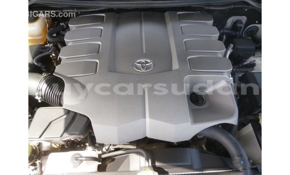 Buy Import Toyota Land Cruiser Black Car in Import - Dubai in Al Jazirah State Buy Import Toyota Land Cruiser Black Car in Import - Dubai in Al Jazirah State