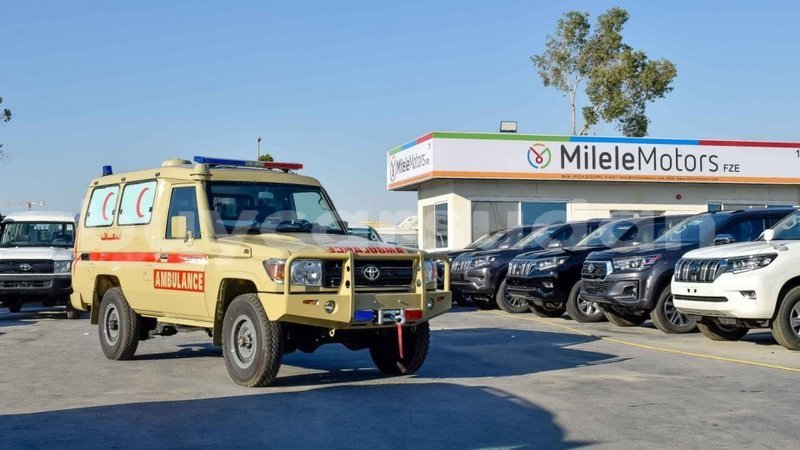 Big with watermark 1