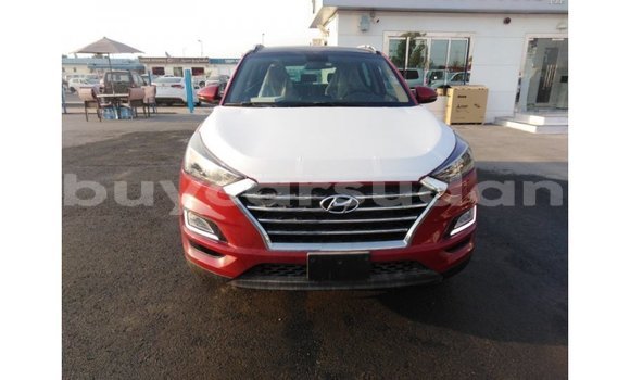 Buy Import Hyundai Tucson Red Car in Import - Dubai in Al Jazirah State Buy Import Hyundai Tucson Red Car in Import - Dubai in Al Jazirah State