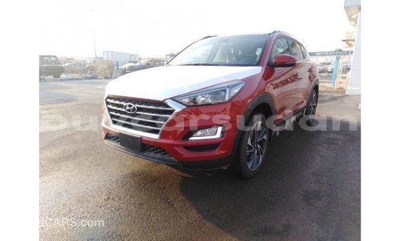 Buy Import Hyundai Tucson Red Car in Import - Dubai in Al Jazirah State Buy Import Hyundai Tucson Red Car in Import - Dubai in Al Jazirah State