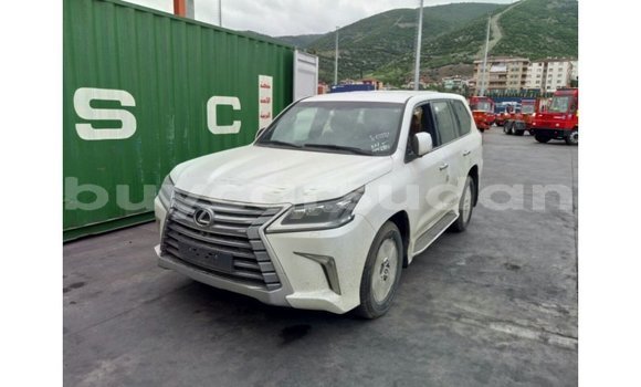 Buy Import Lexus LX White Car in Import - Dubai in Al Jazirah State Buy Import Lexus LX White Car in Import - Dubai in Al Jazirah State