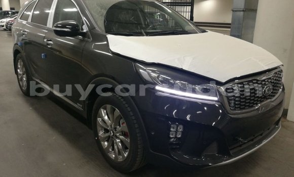 Buy Import Kia Sorento Brown Car in Import - Dubai in Al Jazirah State Buy Import Kia Sorento Brown Car in Import - Dubai in Al Jazirah State