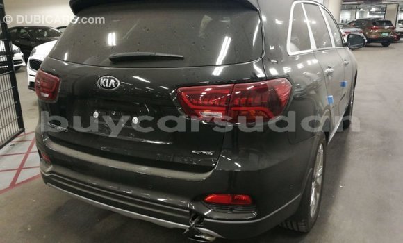 Buy Import Kia Sorento Brown Car in Import - Dubai in Al Jazirah State Buy Import Kia Sorento Brown Car in Import - Dubai in Al Jazirah State