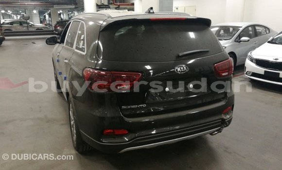 Buy Import Kia Sorento Brown Car in Import - Dubai in Al Jazirah State Buy Import Kia Sorento Brown Car in Import - Dubai in Al Jazirah State