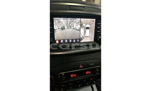 Buy Import Kia Sorento Brown Car in Import - Dubai in Al Jazirah State Buy Import Kia Sorento Brown Car in Import - Dubai in Al Jazirah State