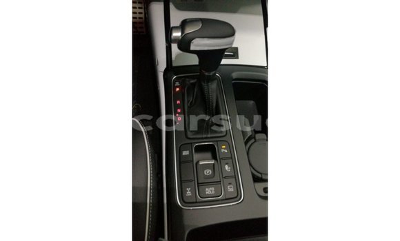 Buy Import Kia Sorento Brown Car in Import - Dubai in Al Jazirah State Buy Import Kia Sorento Brown Car in Import - Dubai in Al Jazirah State