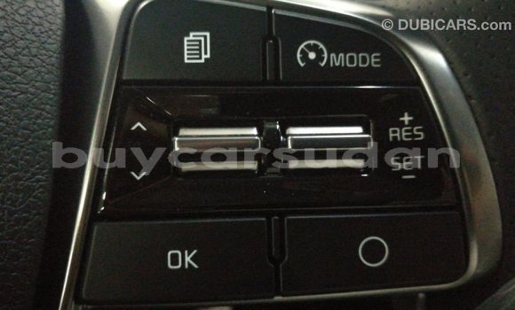 Buy Import Kia Sorento Brown Car in Import - Dubai in Al Jazirah State Buy Import Kia Sorento Brown Car in Import - Dubai in Al Jazirah State