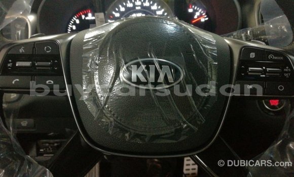 Buy Import Kia Sorento Brown Car in Import - Dubai in Al Jazirah State Buy Import Kia Sorento Brown Car in Import - Dubai in Al Jazirah State
