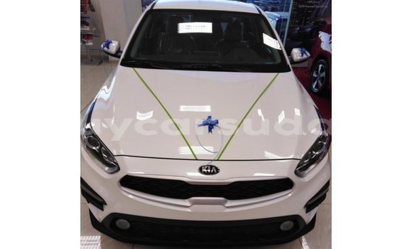 Buy Import Kia Cerato White Car in Import - Dubai in Al Jazirah State Buy Import Kia Cerato White Car in Import - Dubai in Al Jazirah State