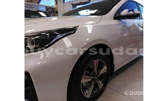 Buy Import Kia Cerato White Car in Import - Dubai in Al Jazirah State Buy Import Kia Cerato White Car in Import - Dubai in Al Jazirah State