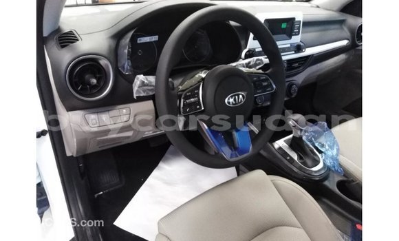 Buy Import Kia Cerato White Car in Import - Dubai in Al Jazirah State Buy Import Kia Cerato White Car in Import - Dubai in Al Jazirah State