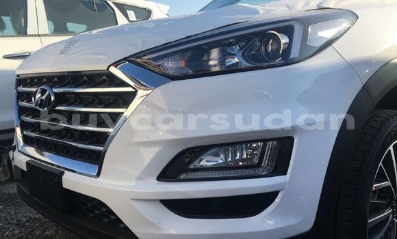 Buy Import Hyundai Tucson White Car in Import - Dubai in Al Jazirah State Buy Import Hyundai Tucson White Car in Import - Dubai in Al Jazirah State