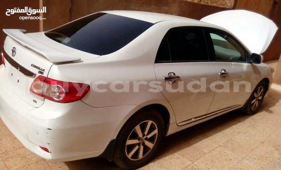 Buy Used Toyota Corolla White Car in Khartoum in Khartoum