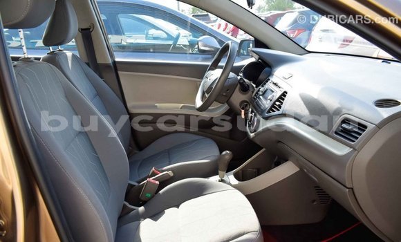 Buy Import Kia Carens Brown Car in Import - Dubai in Al Jazirah State Buy Import Kia Carens Brown Car in Import - Dubai in Al Jazirah State