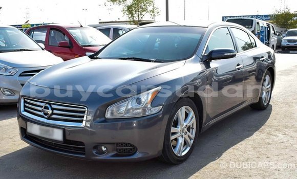 Buy Import Nissan Maxima Other Car in Import - Dubai in Al Jazirah State Buy Import Nissan Maxima Other Car in Import - Dubai in Al Jazirah State