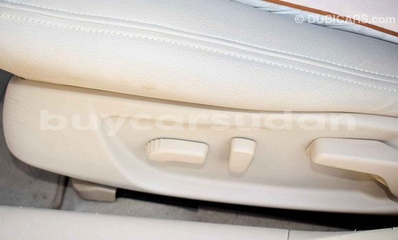 Buy Import Nissan Maxima Other Car in Import - Dubai in Al Jazirah State Buy Import Nissan Maxima Other Car in Import - Dubai in Al Jazirah State