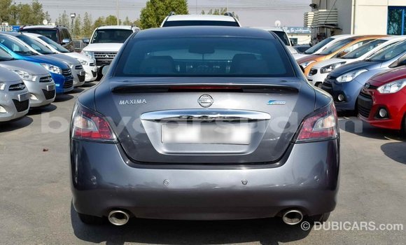 Buy Import Nissan Maxima Other Car in Import - Dubai in Al Jazirah State Buy Import Nissan Maxima Other Car in Import - Dubai in Al Jazirah State