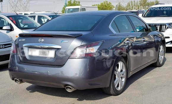 Buy Import Nissan Maxima Other Car in Import - Dubai in Al Jazirah State Buy Import Nissan Maxima Other Car in Import - Dubai in Al Jazirah State