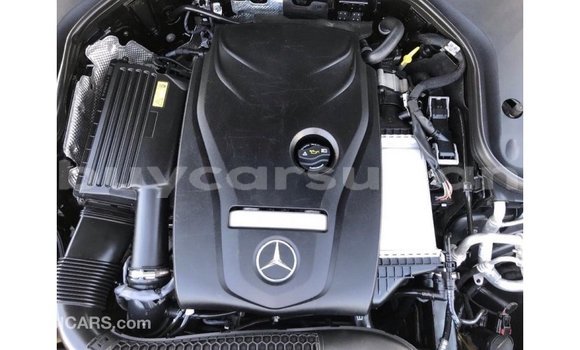Buy Import Mercedes-Benz 200 Other Car in Import - Dubai in Al Jazirah State Buy Import Mercedes-Benz 200 Other Car in Import - Dubai in Al Jazirah State