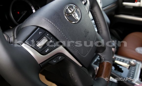 Buy Import Toyota Land Cruiser Black Car in Import - Dubai in Al Jazirah State Buy Import Toyota Land Cruiser Black Car in Import - Dubai in Al Jazirah State