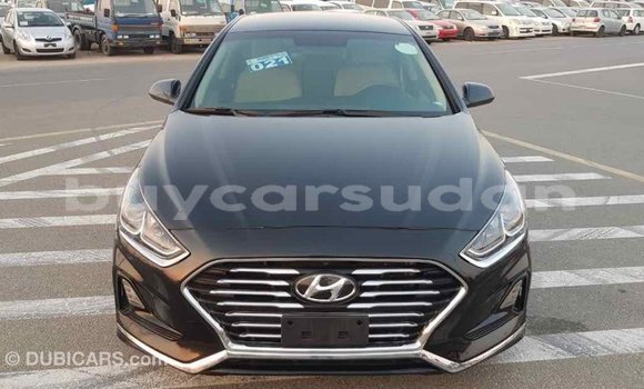 Buy Import Hyundai Sonata Black Car in Import - Dubai in Al Jazirah State Buy Import Hyundai Sonata Black Car in Import - Dubai in Al Jazirah State
