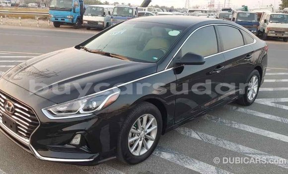 Buy Import Hyundai Sonata Black Car in Import - Dubai in Al Jazirah State Buy Import Hyundai Sonata Black Car in Import - Dubai in Al Jazirah State