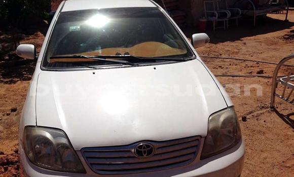 Buy Used Toyota Corolla White Car in Khartoum in Khartoum Buy Used Toyota Corolla White Car in Khartoum in Khartoum