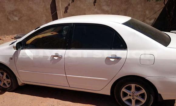 Buy Used Toyota Corolla White Car in Khartoum in Khartoum