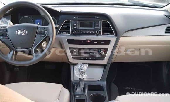 Buy Import Hyundai Sonata Brown Car in Import - Dubai in Al Jazirah State Buy Import Hyundai Sonata Brown Car in Import - Dubai in Al Jazirah State