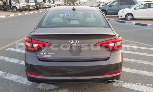 Buy Import Hyundai Sonata Brown Car in Import - Dubai in Al Jazirah State Buy Import Hyundai Sonata Brown Car in Import - Dubai in Al Jazirah State