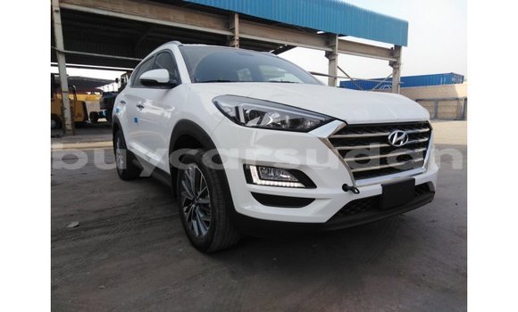 Buy Import Hyundai Tucson White Car in Import - Dubai in Al Jazirah State Buy Import Hyundai Tucson White Car in Import - Dubai in Al Jazirah State