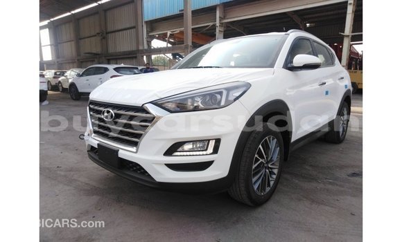 Buy Import Hyundai Tucson White Car in Import - Dubai in Al Jazirah State Buy Import Hyundai Tucson White Car in Import - Dubai in Al Jazirah State