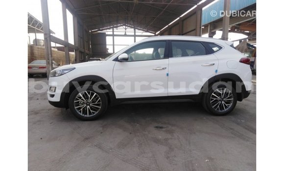 Buy Import Hyundai Tucson White Car in Import - Dubai in Al Jazirah State Buy Import Hyundai Tucson White Car in Import - Dubai in Al Jazirah State