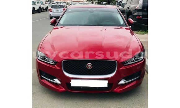 Buy Import Jaguar XE Red Car in Import - Dubai in Al Jazirah State