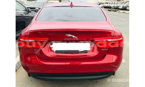 Buy Import Jaguar XE Red Car in Import - Dubai in Al Jazirah State Buy Import Jaguar XE Red Car in Import - Dubai in Al Jazirah State