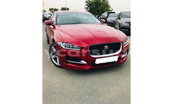 Buy Import Jaguar XE Red Car in Import - Dubai in Al Jazirah State Buy Import Jaguar XE Red Car in Import - Dubai in Al Jazirah State