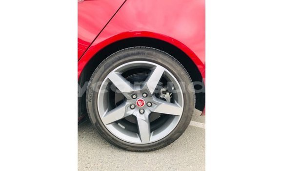 Buy Import Jaguar XE Red Car in Import - Dubai in Al Jazirah State Buy Import Jaguar XE Red Car in Import - Dubai in Al Jazirah State