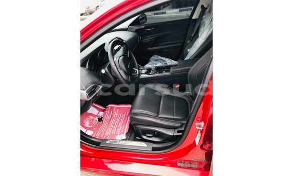 Buy Import Jaguar XE Red Car in Import - Dubai in Al Jazirah State Buy Import Jaguar XE Red Car in Import - Dubai in Al Jazirah State
