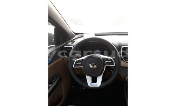 Buy Import Kia Sportage Black Car in Import - Dubai in Al Jazirah State Buy Import Kia Sportage Black Car in Import - Dubai in Al Jazirah State